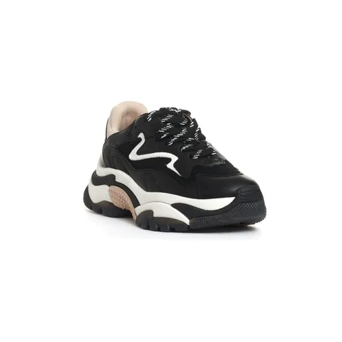 Shoes > Sneakers - - ASH - Modalova