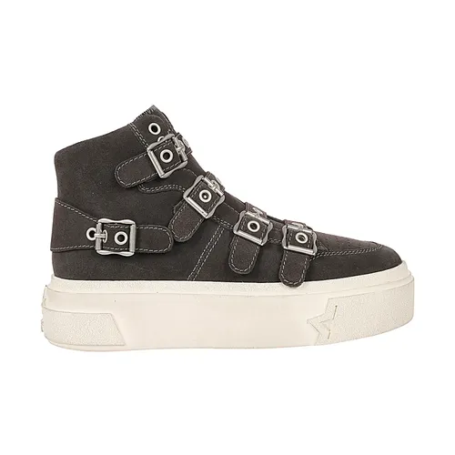 ASH - Shoes > Sneakers - Gray - ASH - Modalova