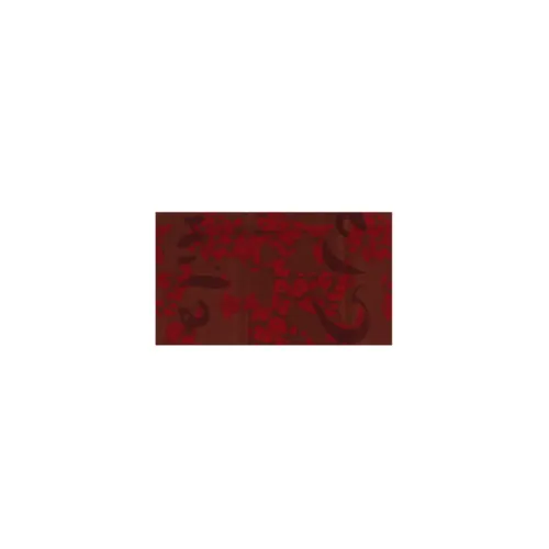 Accessories > Scarves - - Manila Grace - Modalova