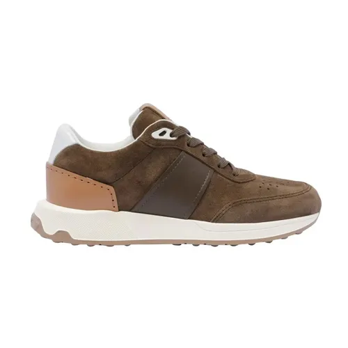 Tod's - Shoes > Sneakers - Brown - Tod's - Modalova