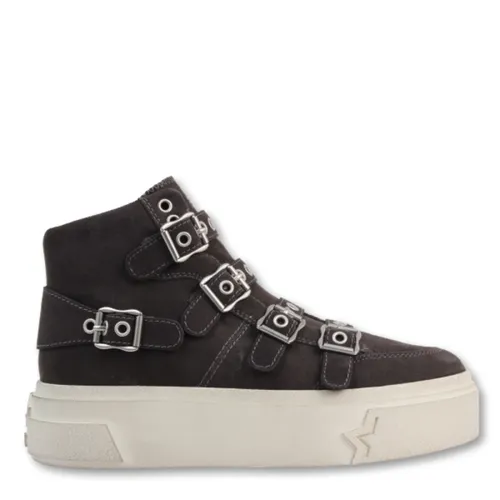 ASH - Shoes > Sneakers - Black - ASH - Modalova