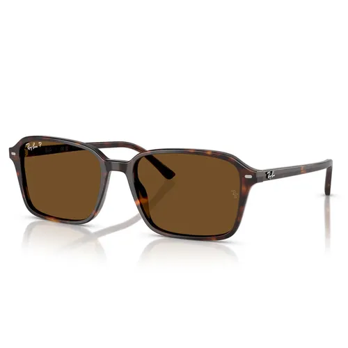 Accessories > Sunglasses - - Ray-Ban - Modalova