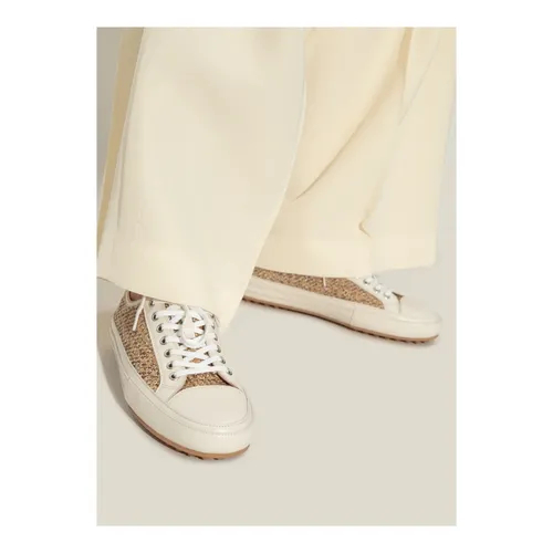 Tod's - Shoes > Sneakers - Brown - Tod's - Modalova