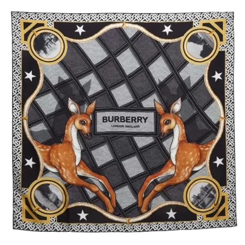 Pre-owned > Pre-owned Accessories > Pre-owned Scarves - - Burberry Vintage - Modalova