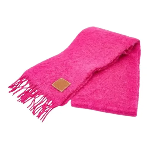 Pre-owned > Pre-owned Accessories > Pre-owned Scarves - - Loewe Pre-owned - Modalova