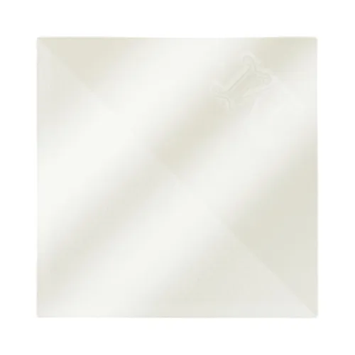 Accessories > Scarves > Silky Scarves - - Max Mara - Modalova