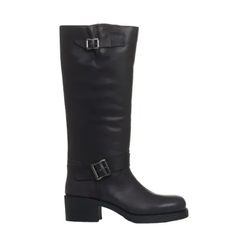 Shoes > Boots > High Boots - - ASH - Modalova