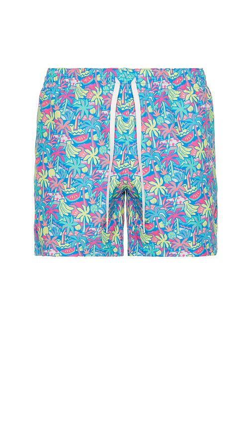 The Tropical Bunches 5.5 Swim Short en . Taille L. Also en S, XL/1X - Chubbies - Modalova